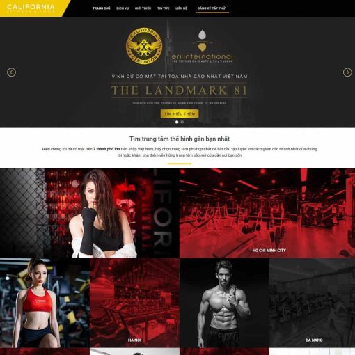 Theme wordpress phòng gym