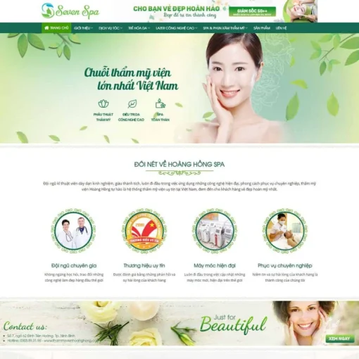 Theme wordpress spa 03