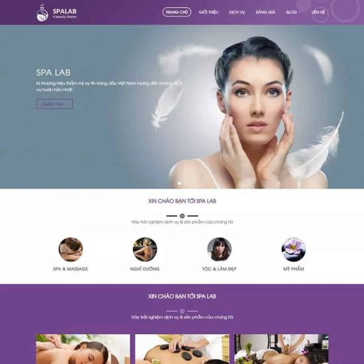 Theme wordpress spa 6