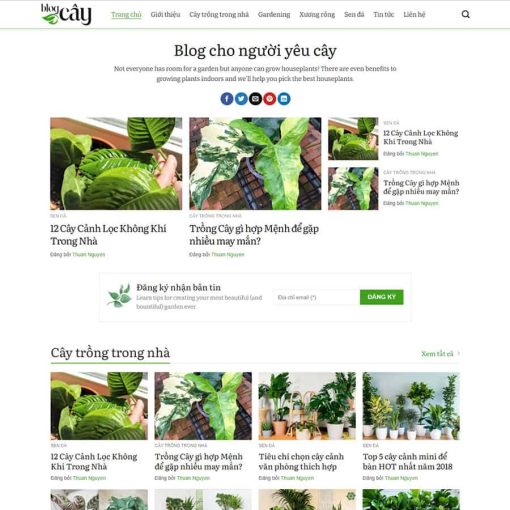 Theme wordpress blog về cây xanh