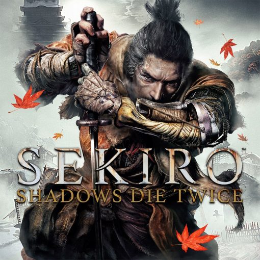 🔥Sekiro🔥: Shadows Die Twice